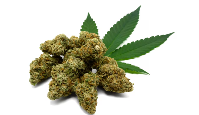 High Grade, Low Price — Canadians Who Know Buy Ganja Online