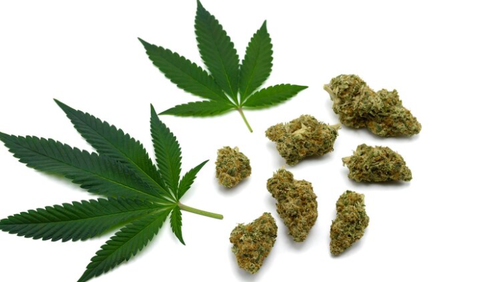 How to Buy High THC Cannabis Online Safely