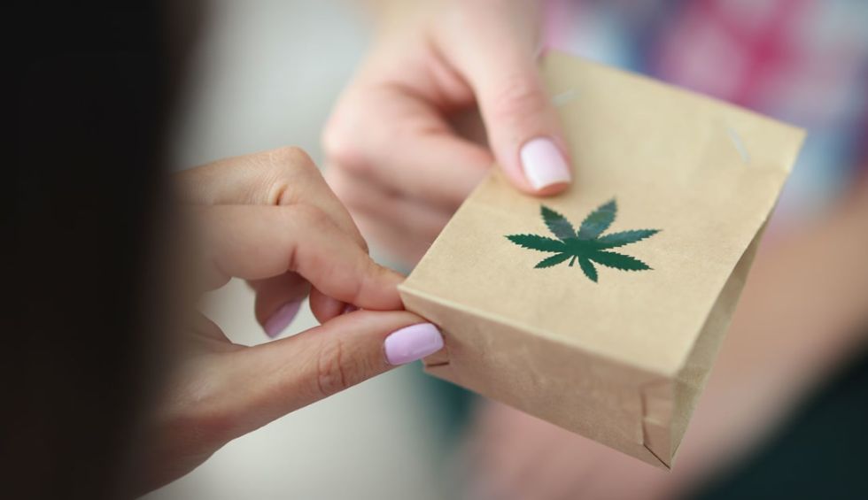 Wondering how you can get the best quality cannabis to your doorstep fast? Here’s our step-by-step guide on how to buy online pot safely in Canada: