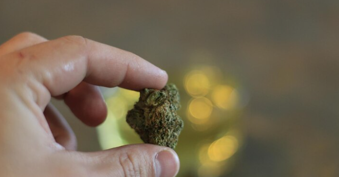 Ingestion of Cannabis Consumption Methods