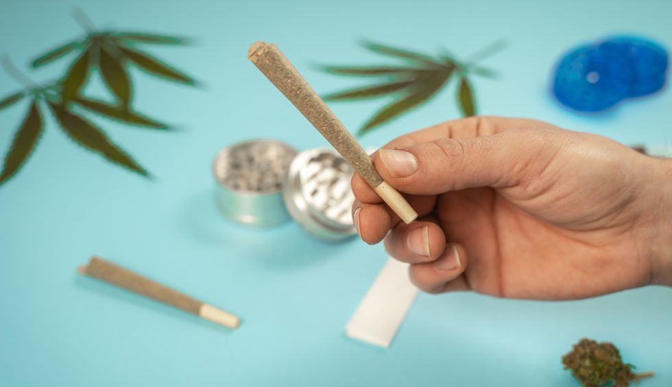 Joints consist of pure cannabis flower rolled up inside a thin rolling paper. The rolling paper is made thin so that it doesn’t affect the flavour of the cannabis smoke when combusting.