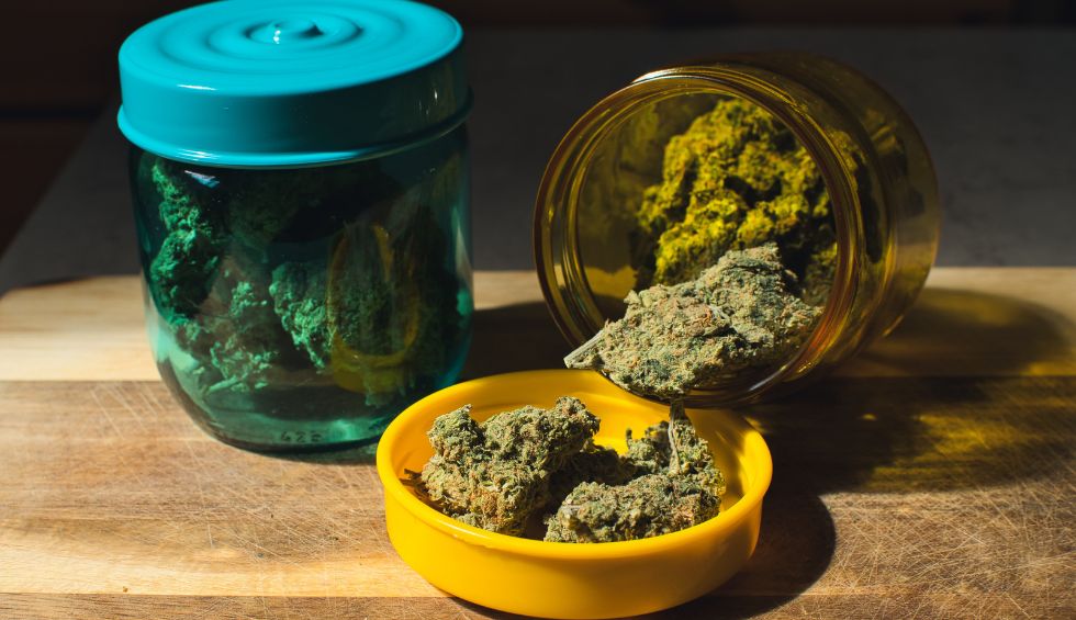 Terpenes are organic compounds in plants that determine their specific aroma and taste profiles. In cannabis, the unique terpene profiles are responsible for each strain's distinct aroma and taste.