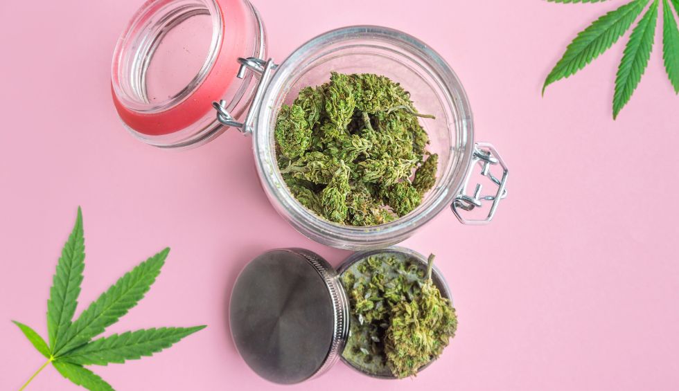 If you’ve been looking for high-quality pot online in Canada, you’re in the right place. We’re Dispensary Near Me Now, a reliable and reputable online pot shop in Canada.