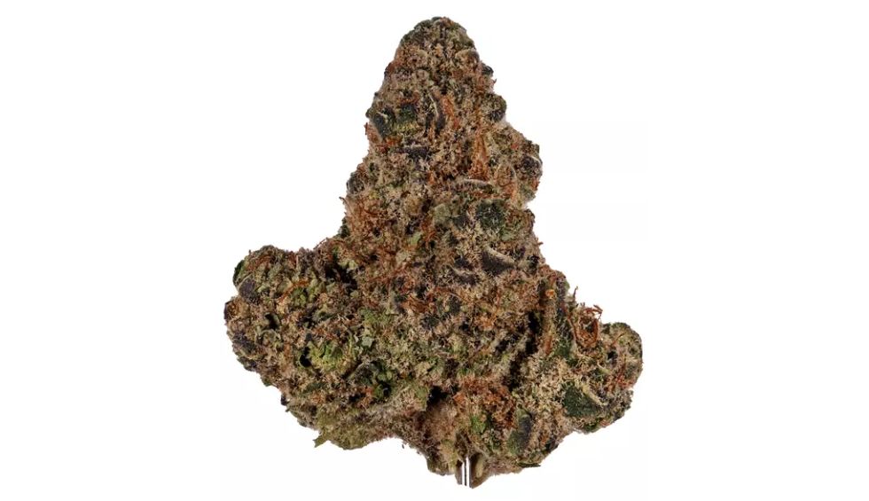 It's also a good idea to check the appearance of cannabis strains before you visit an online weed dispensary to buy weed in Canada.