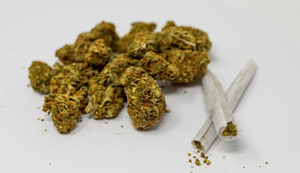 Are you tired of sketchy websites, crushed buds, and late deliveries? DispensaryNearMeNow has got you covered.