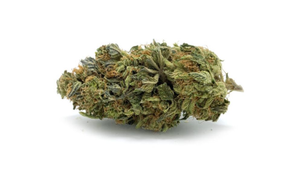 If you’re looking for something you can smoke every day before going to bed, we highly recommend the Pink Bubba Kush strain. You can buy it the next time you order weed online.