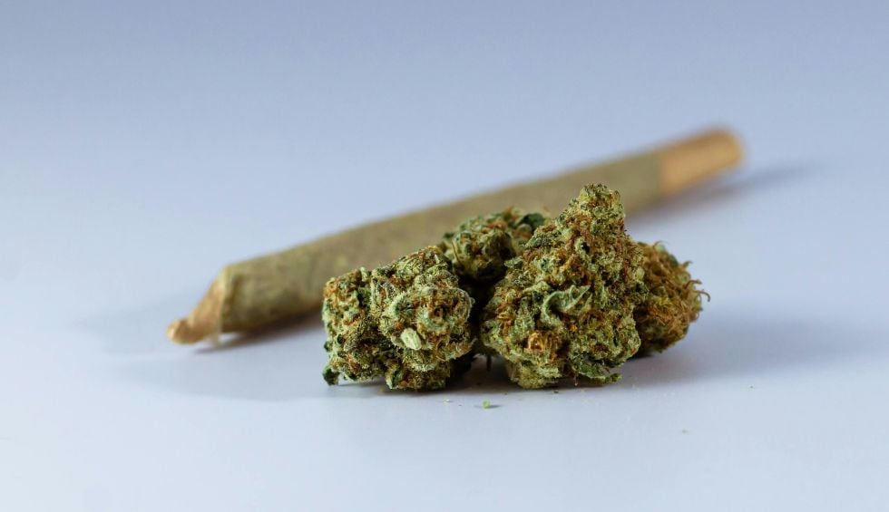 Cannabis enthusiasts living in Canada can easily buy weed online from an online weed dispensary and have it shipped to their location.