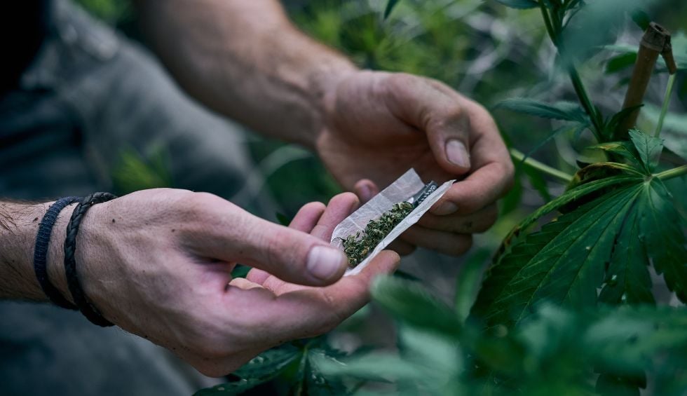 Right Cannabis Consumption Methods