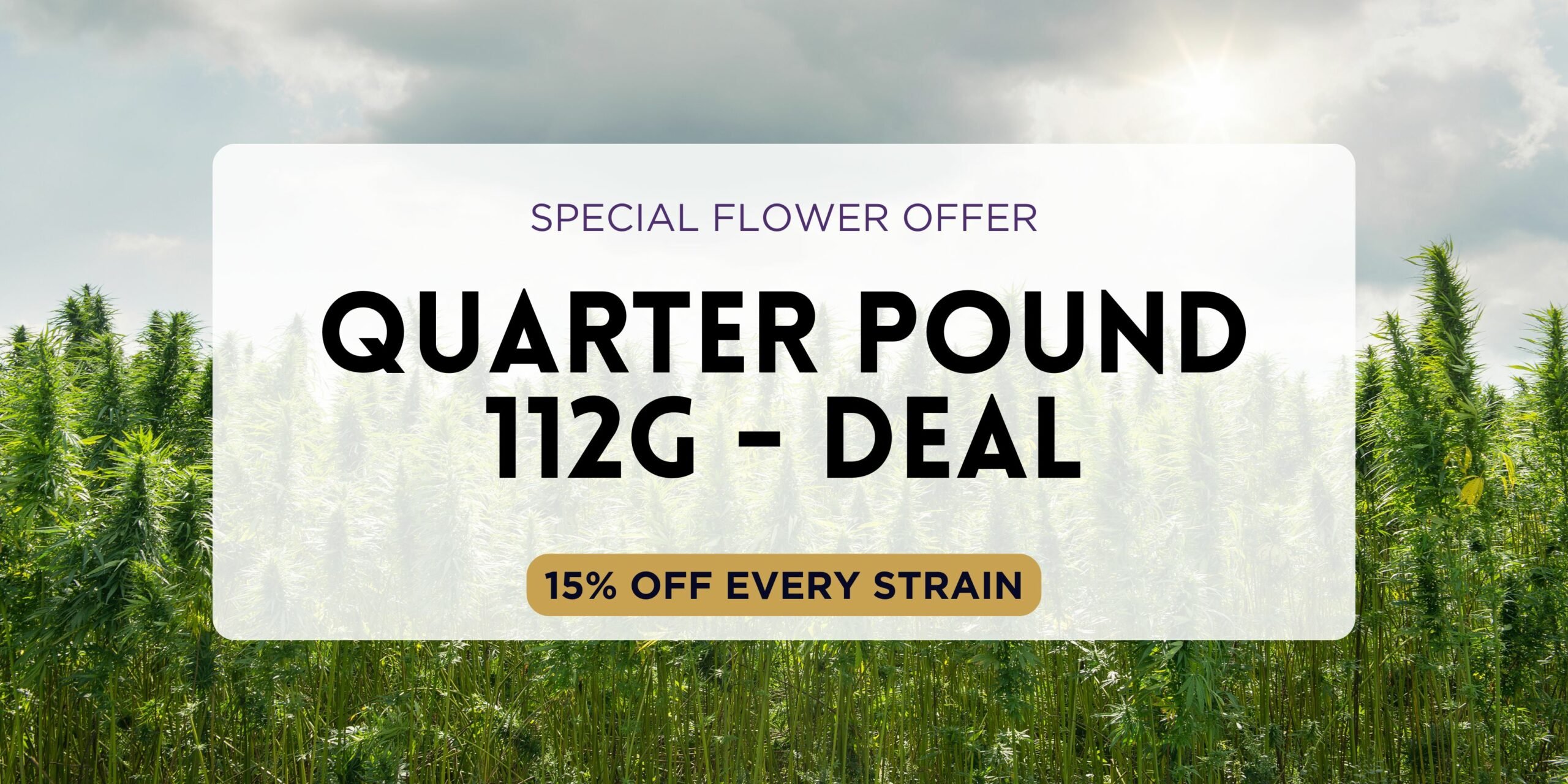 Dispensary Near Me Now | Buy Weed Online