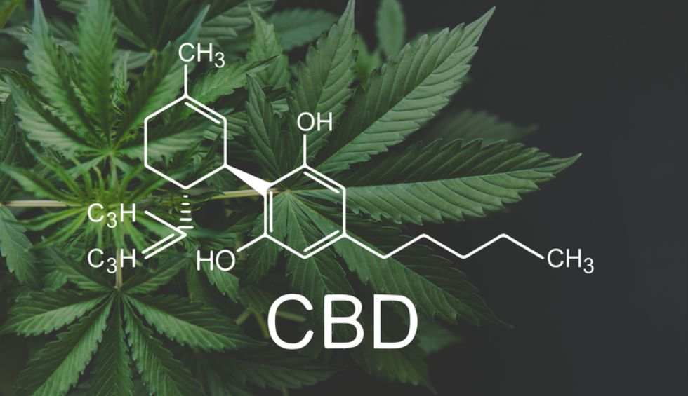 While there are hundreds of cannabinoids in the cannabis plant, you likely come across THC products and CBD products a lot more. These are the two main chemicals present in marijuana plants.
