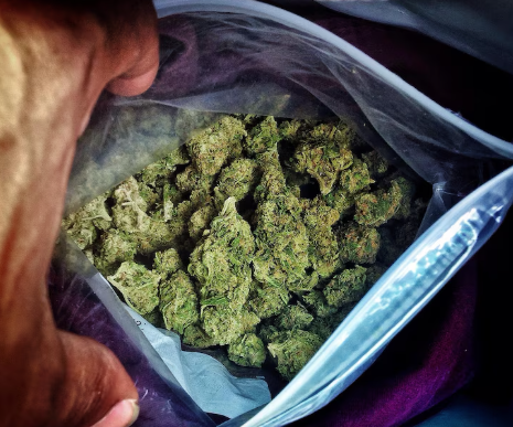 Where to Buy Ganja Online