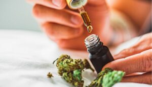 Learn everything you need to know about buying cannabinoids online in Canada—types, tips & the best online pot store to trust in Canada.