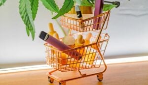 Disposable THC pen is a convenient, portable, discreet & affordable way of getting high on weed. You can buy disposable THC vapes in Canada.
