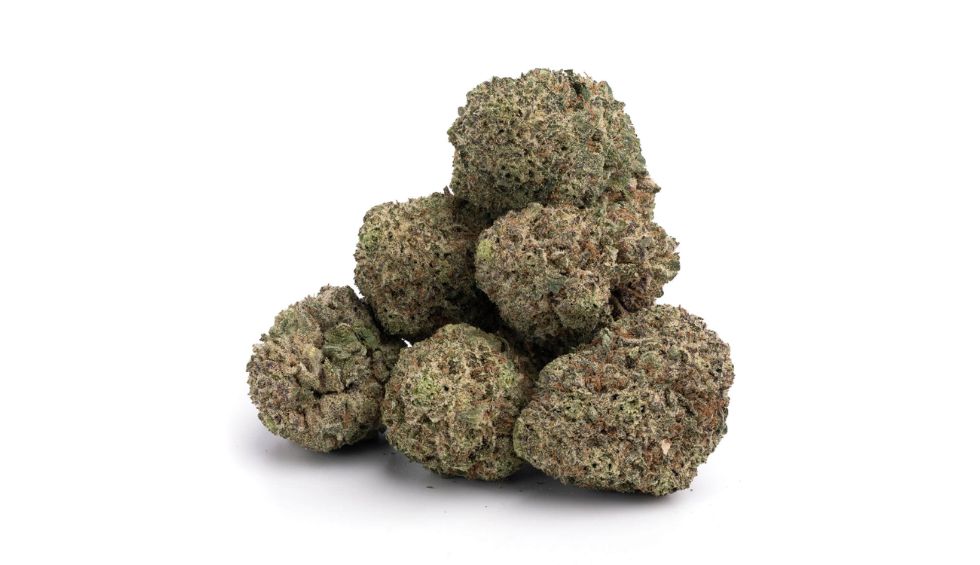 Mimosa strain delivers citrusy kick with balanced effects. Our guide explains how this flavorful hybrid boosts mood & where to buy it online.