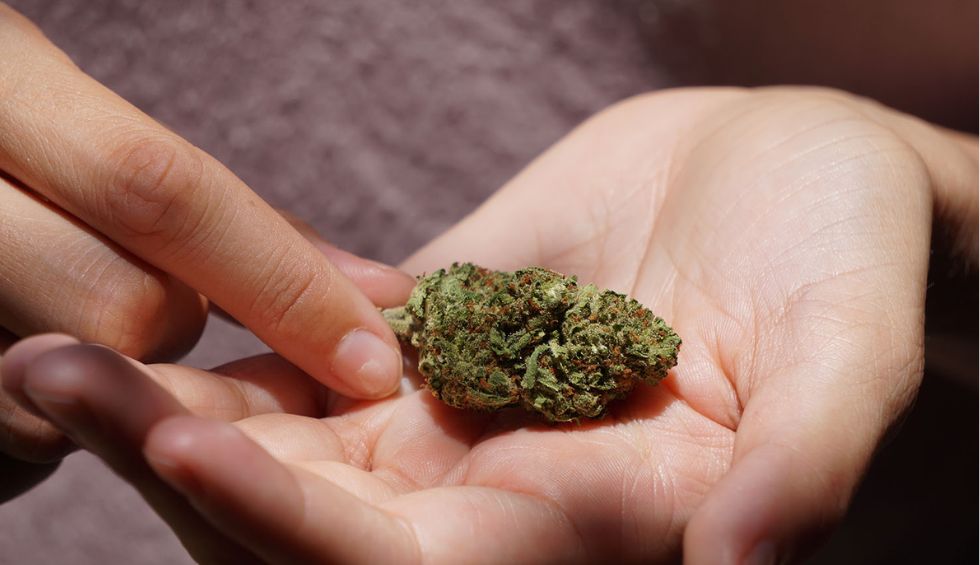 Looking to order pot in Canada safely? Explore our guide on how to buy pot & learn about the benefits & the step-by-step process.
