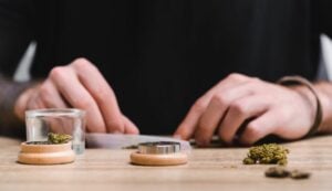 Talk of variety and class, flavour and potency, get yourself some Pink Kush strains! Wondering what's in for you? We've got all the details.