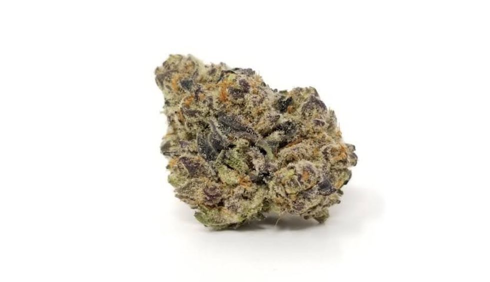 Thanks to its exceptional genetic lineage and incredible effects, the Mimosa weed strain has long been a favorite among stoners.