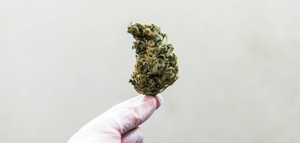 Our dispensary in Canada offers a massive selection of high-quality buds, ranging from ultra-potent AAAA weed to exotic small-batch strains that you won’t find in your average dispensary.