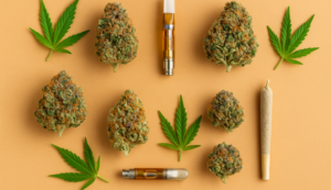 Flat lay of cannabis buds, vapes, joint, and leaves on orange background—perfect morning sativa alternatives to coffee