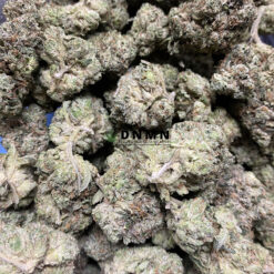Gorilla Glue #4 - Cheap Weed Canada - Dispensary Near Me Now
