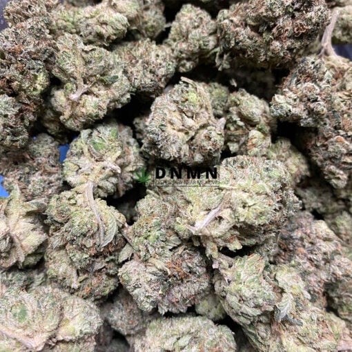 Gorilla Glue #4 - Cheap Weed Canada - Dispensary Near Me Now