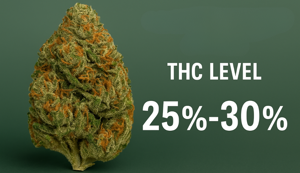 Grease Monkey cannabis bud with text showing THC level range of 25% to 30% on a green background