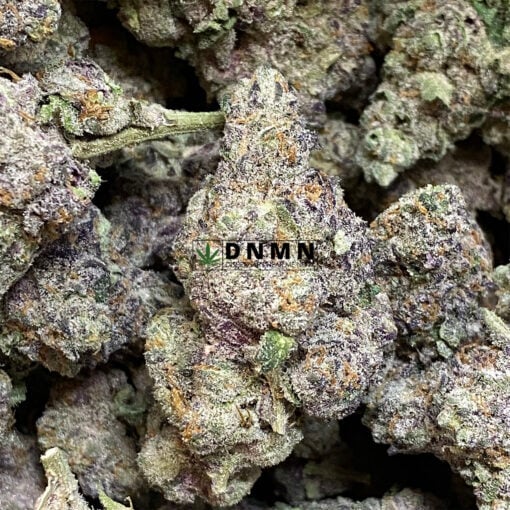 Oreoz - Online Dispensary Canada - Dispensary Near Me Now
