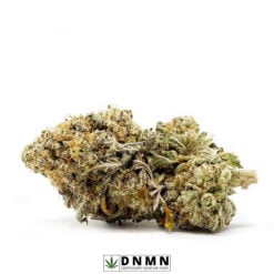 Skunk Berry - Buy Weed Online - Dispensary Near Me Now