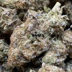 Skunk Berry - Cheap Weed Canada - Dispensary Near Me Now