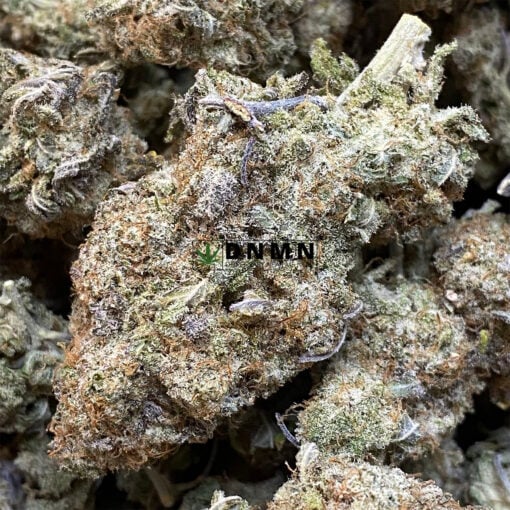 Skunk Berry - Cheap Weed Canada - Dispensary Near Me Now
