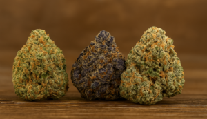 Three vibrant cannabis buds, including a dark purple Biscotti strain nug, arranged against a warm wooden background