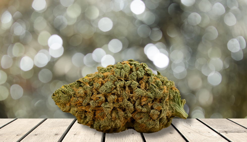 Close-up of a cannabis bud placed on a wooden surface with a blurred background, representing the concept of BC Bud online