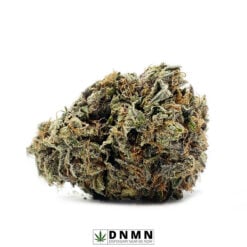White Berry - Buy Weed Online - Dispensary Near Me Now