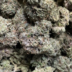White Berry - Online Dispensary Canada - Dispensary Near Me Now