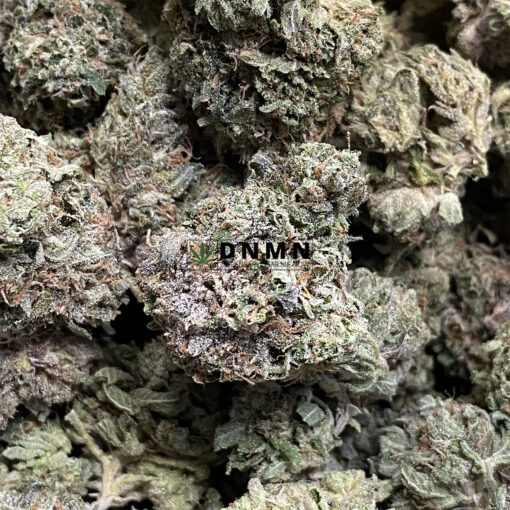 White Berry - Online Dispensary Canada - Dispensary Near Me Now