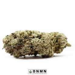 White Truffle - Buy Weed Online - Dispensary Near Me Now