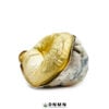 Avalanche Magic Mushroom - Buy Weed Online - Dispensary Near Me Now