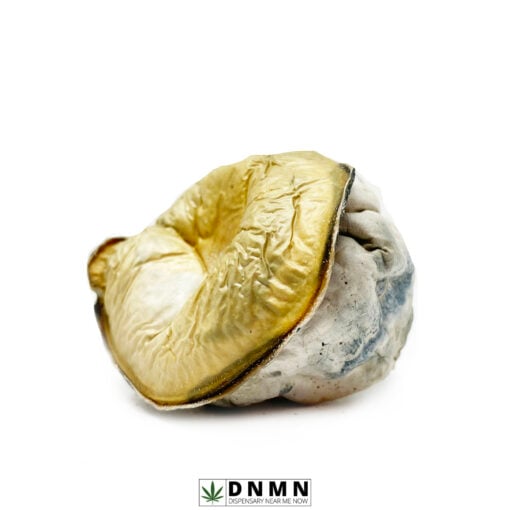 Avalanche Magic Mushroom - Buy Weed Online - Dispensary Near Me Now