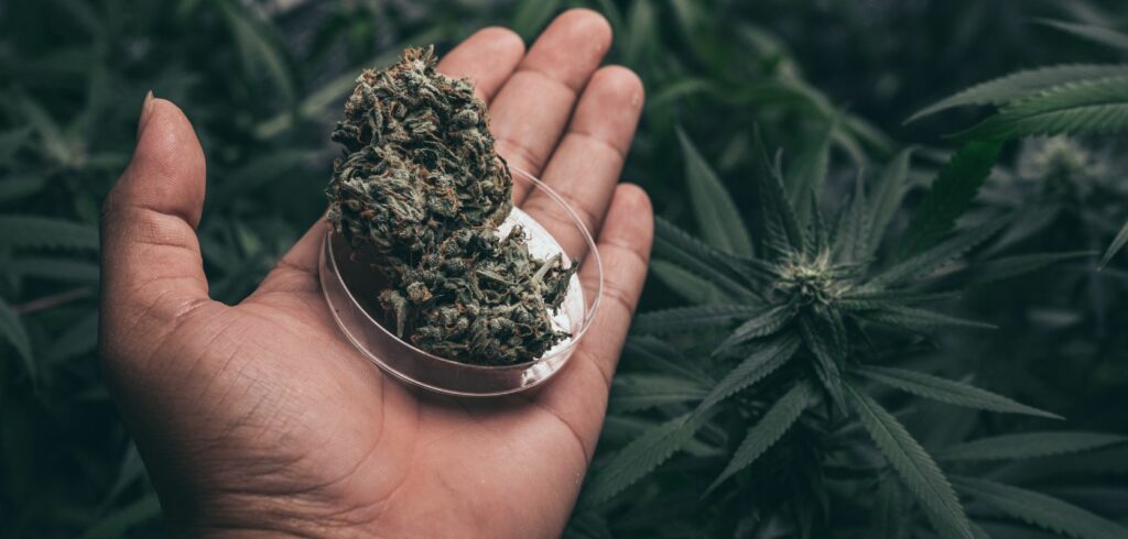 So you’ve got your stash sorted, now all you need is a chill place. You are in luck, as Toronto’s got endless spots that pair perfectly with your favourite cannabis vibe:
