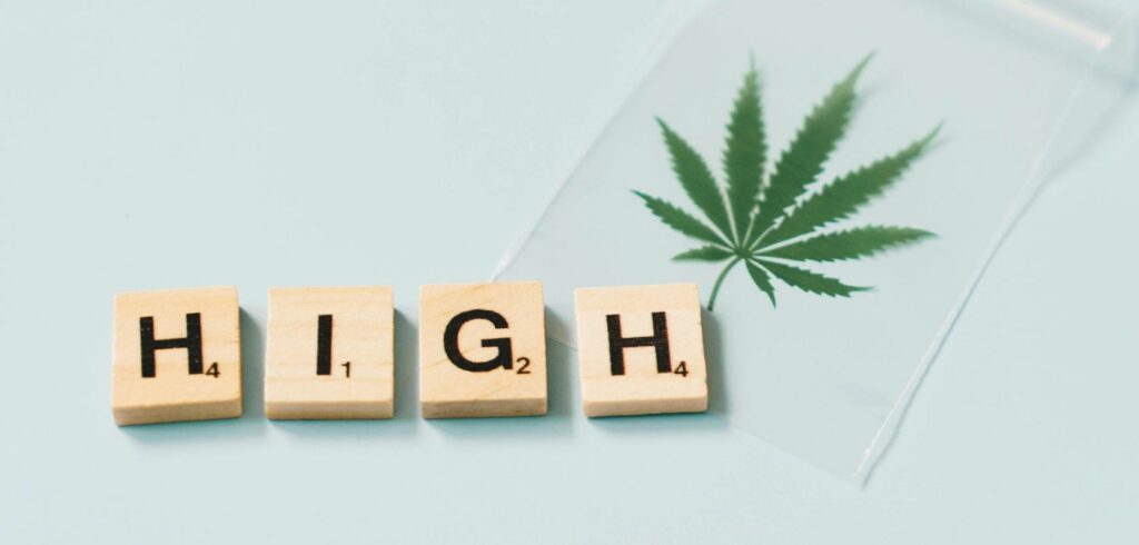 Our climate and fertile lands have enabled us to become the leading cannabis cultivator in Canada.