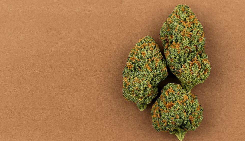 Three cannabis buds on a brown surface, representing how to identify quality products from a real discount dispensary