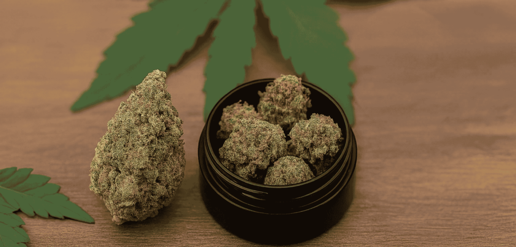 Close-up of cannabis buds in a black jar with leaf decor, showcasing highlights of top-quality low price buds