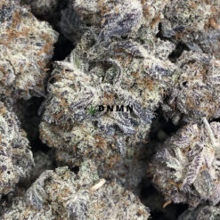 Purple Mendocino - Online Dispensary Canada - Dispensary Near Me Now
