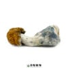 Texas Yellow Cap Magic Mushroom - Buy Weed Online - Dispensary Near Me Now