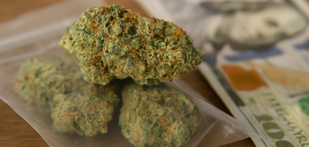 Close-up of budget-friendly cannabis buds in a plastic bag beside dollar bills, representing what low price buds are