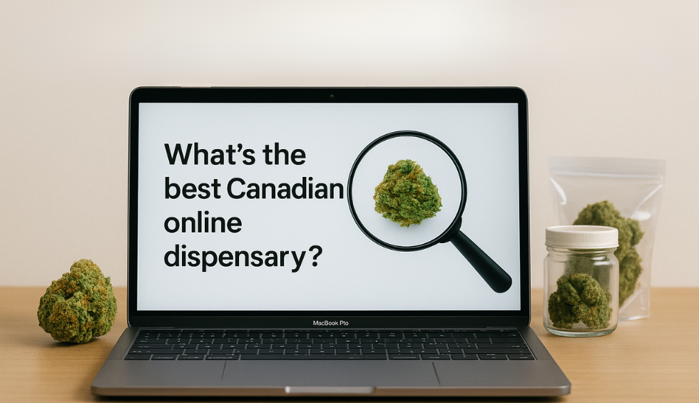 Laptop screen asking “What’s the best Canadian online dispensary?” with a cannabis bud under a magnifying glass