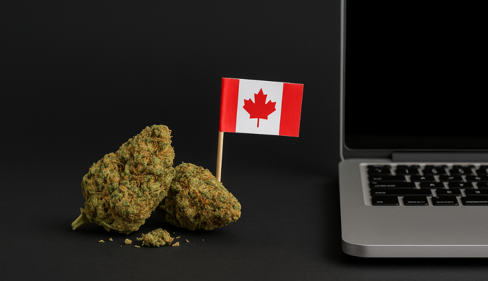 Cannabis buds with Canadian flag next to laptop, symbolizing trust and convenience of online pot from BC