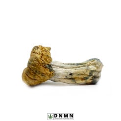 Xenu Magic Mushroom - Buy Weed Online - Dispensary Near Me Now