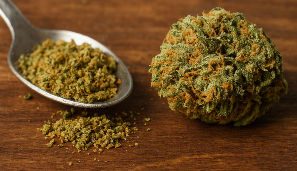 Red Congolese strain, showing vibrant orange hairs and green buds, highlighting its rich aroma and flavor