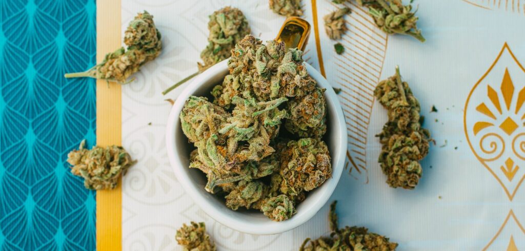 From surviving the cold winter months to attending festivals in the summer, it’s always a good time to smoke cannabis in Edmonton.